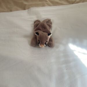 Ty Beanie Baby Canyon 